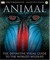 Animal: The Definitive Visual Guide to the World's Wildlife