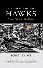 Neighborhood Hawks