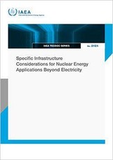 Specific Infrastructure Considerations for Nuclear Energy Applications Beyond Electricity