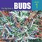 The Big Book of Buds (el. knyga)