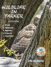 Wildlife In Parker