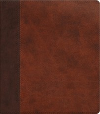 ESV Journaling Study Bible (Trutone, Brown/Chestnut, Timeless Design)