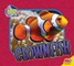 Clownfish