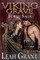 Viking Grave Forth Saga