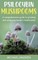 Psilocybin Mushrooms