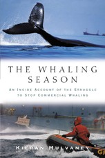 Whaling Season