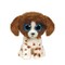 TY Beanie Boos pliušinis šuo Muddles, 15 cm (ruda-balta)