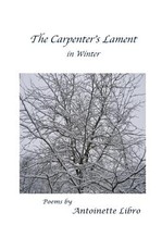 The Carpenter's Lament in Winter