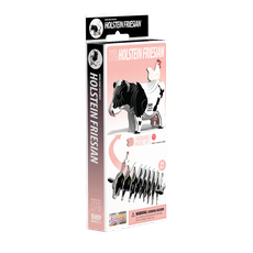 EUGY 3D kartoninis modelis „Holšteino karvė“