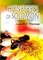 Honeybees of Solomon