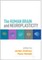 The Human Brain and Neuroplasticity
