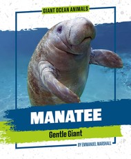 Manatee