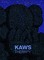 KAWS: THERAPY