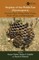 Vespidae of the Middle East (Hymenoptera)