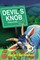 Devil's Knob
