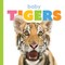 Baby Tigers