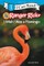 Ranger Rick: I Wish I Was a Flamingo