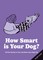 How Smart is Your Dog?