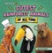 Cutest Rainforest Animals of All Time
