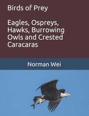 Birds of Prey