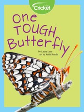 One Tough Butterfly