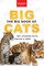 The Big Book of Big Cats