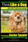 American Cocker Spaniel, American Cocker Spaniel Training AAA Akc