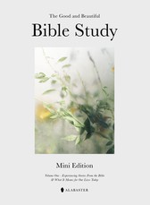 The Mini Good and Beautiful Bible Study