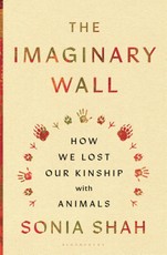 The Imaginary Wall