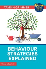 Behaviour Strategies Explained