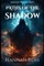 Paths of the Shadow