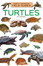 Turtles