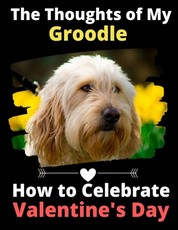 The Thoughts of My Groodle
