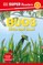 DK Super Readers Level 1 Bugs Hide and Seek