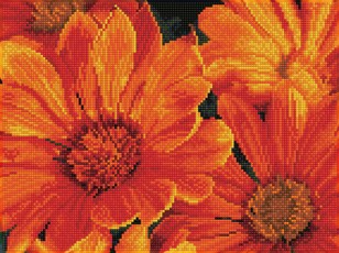 Deimantinė mozaika DELOSPERMA IN BLOOM 30x40