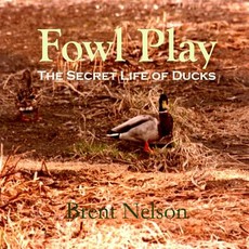 Fowl Play