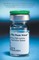 The Panic Virus