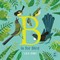 B Is for Bird