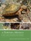 The Turtles of Mexico