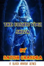 The Cosmic Yogi
