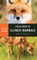 Field Guide to Illinois Mammals