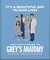 The Little Guide to Grey's Anatomy