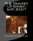 The Tragedy Of Romeo And Juliet