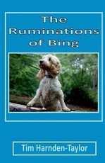 The Ruminations of Bing