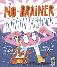 The No-Brainer Brain Explainer