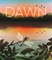 Dawn