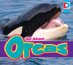 All About Orcas