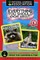 Everything You Should Know About Raccoons and Meerkats