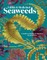 Edible and Medicinal Seaweeds of North America