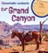 Our Grand Canyon